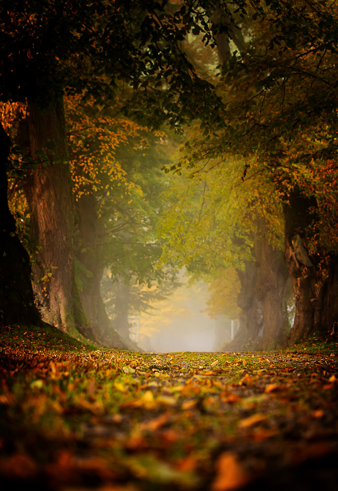 Platz 2 Christoph Lindau